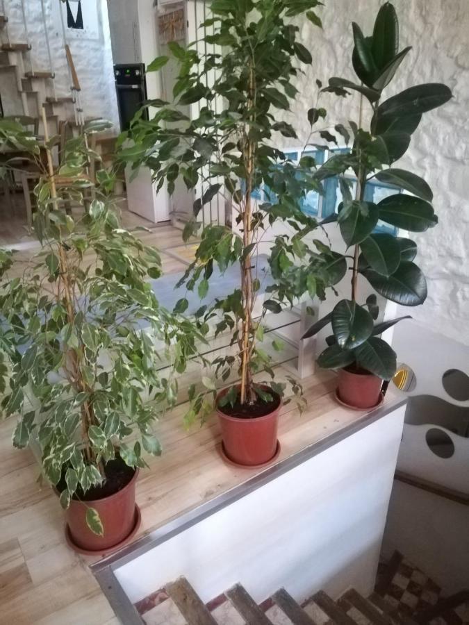 Maison De Ville, Terrasse, Chaleureuse Lejlighed Narbonne Eksteriør billede